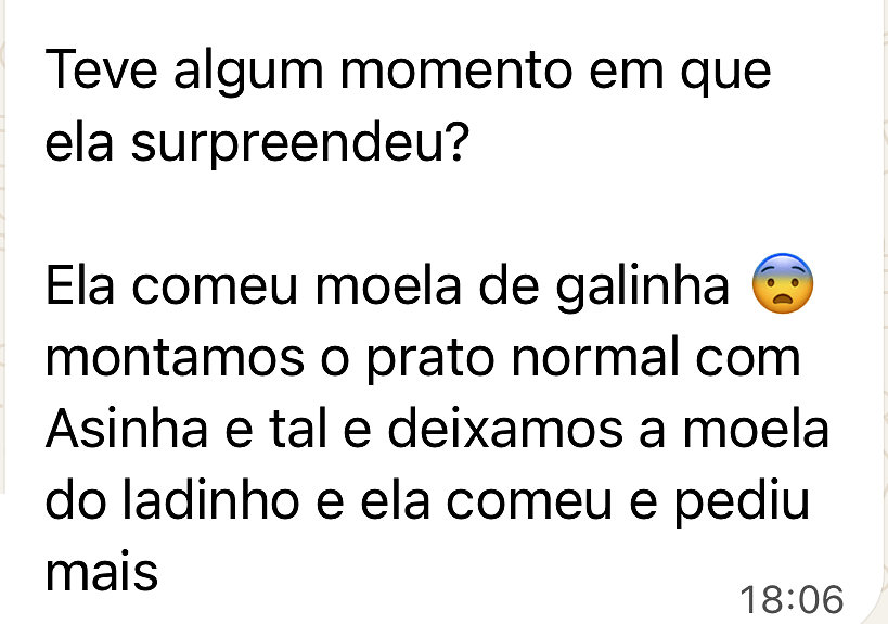 Captura de mensagem de família sobre acompanhamento alimentar, relato 2