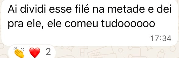 Captura de mensagem de família sobre acompanhamento alimentar, relato 5