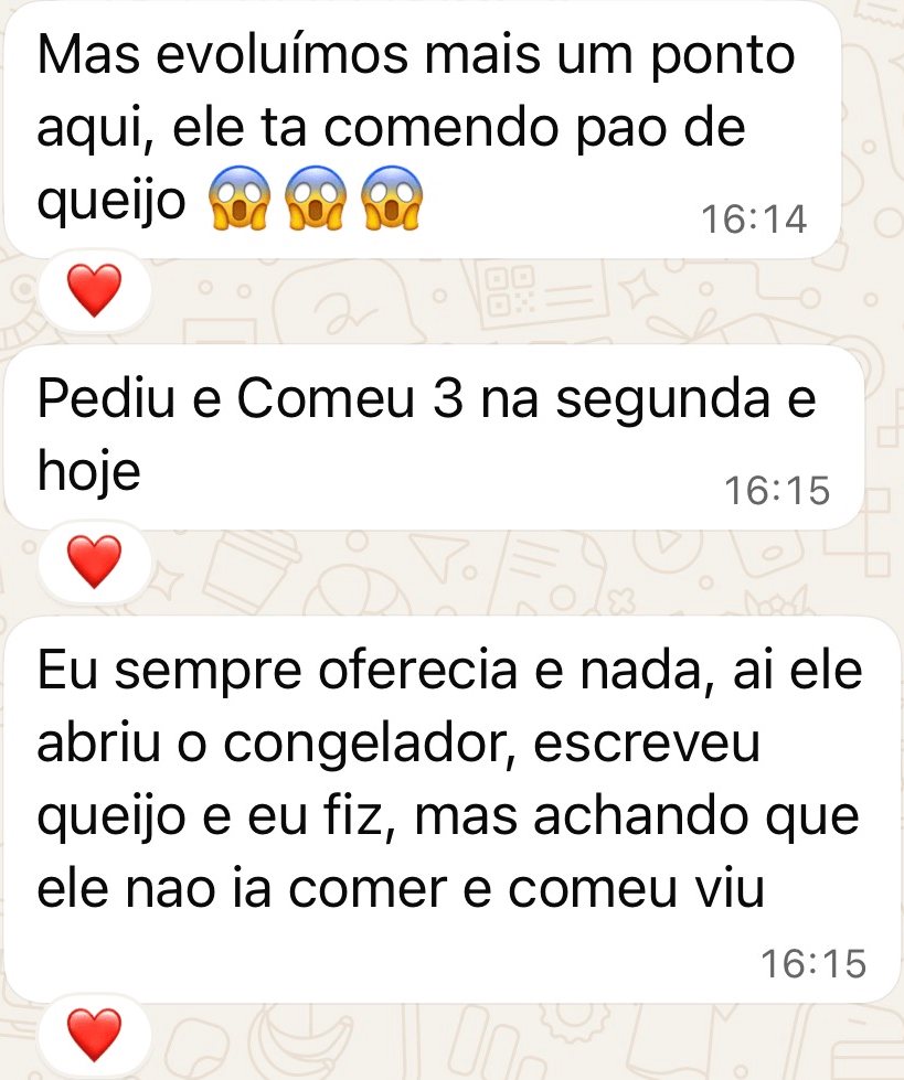 Captura de mensagem de família sobre acompanhamento alimentar, relato 6